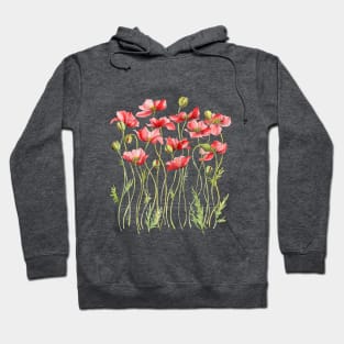 Red Poppies, Illustration Hoodie